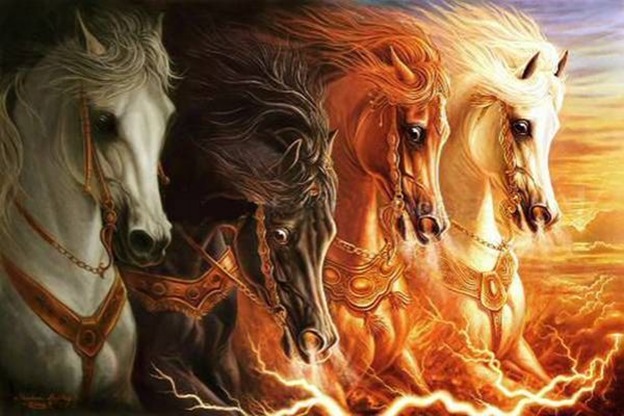 horses